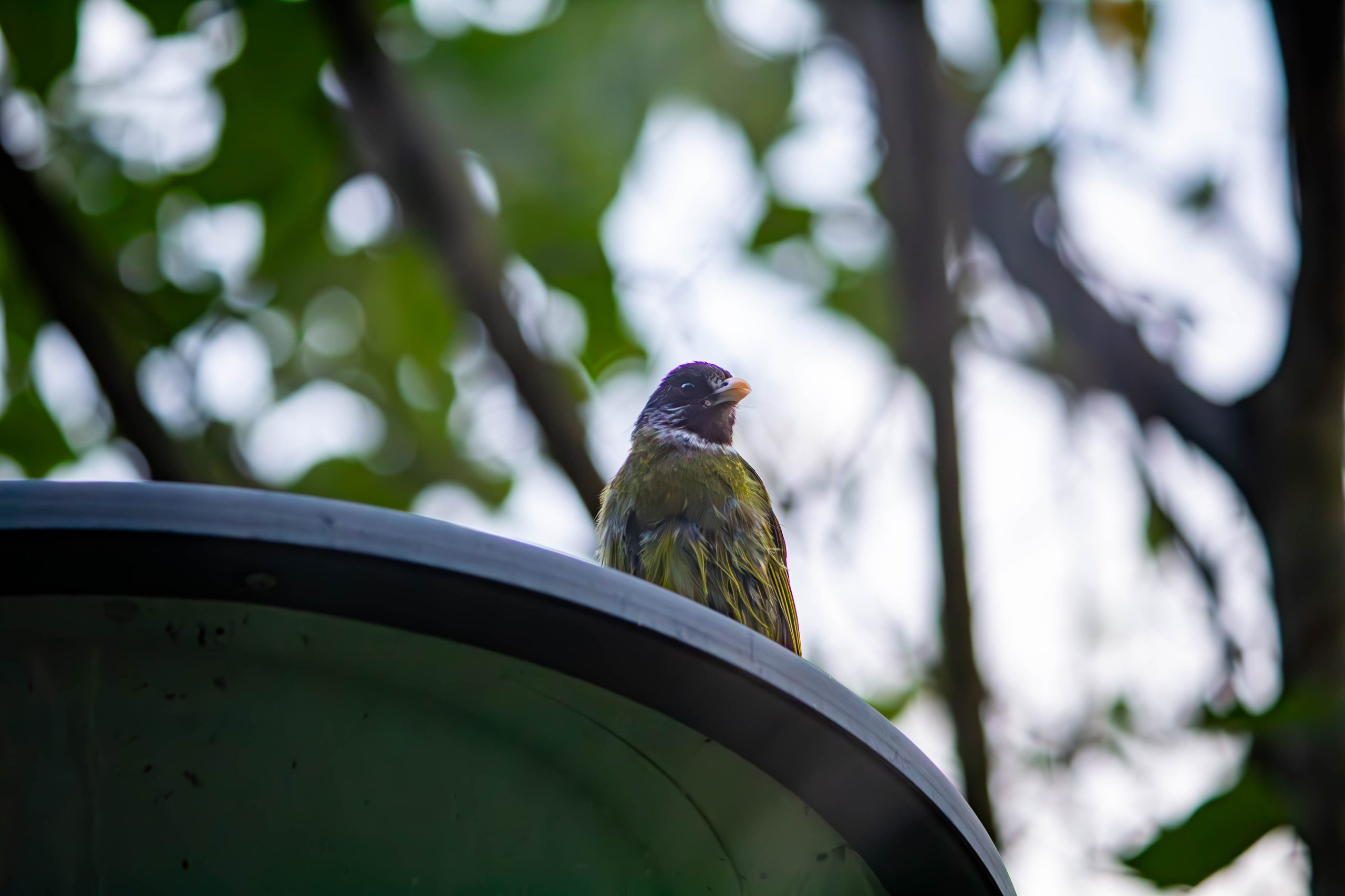 0ff4d58023d95a5d305ecfa98e934b6f