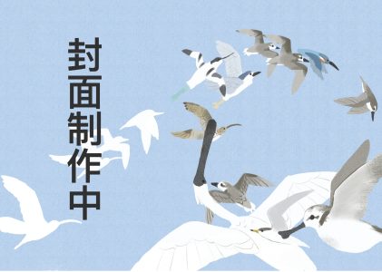 插画绘本《观鸟日常》试阅